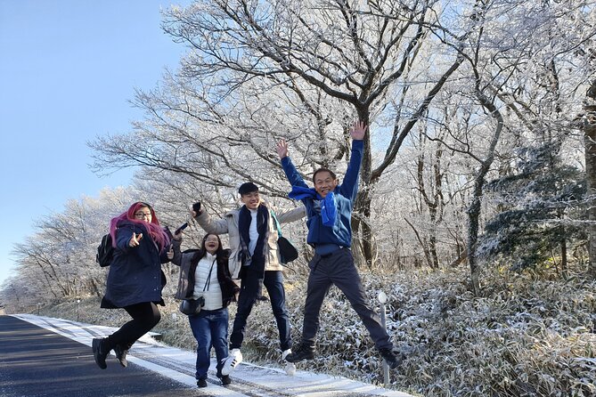 Jeju island Private UNESCO Tour - For Cruise customer - Seongsan Ilchulbong: the volcano viewpoint and the diver show timing