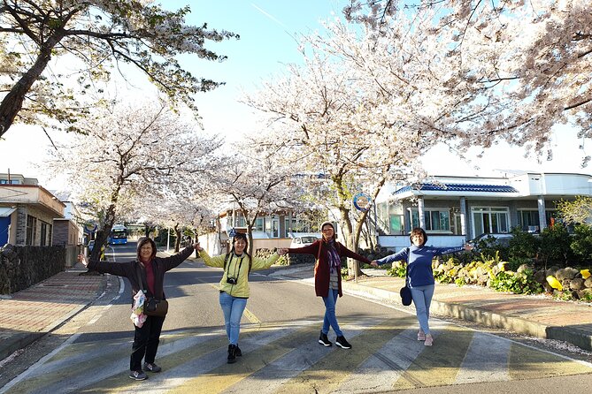 Jeju island Private UNESCO Tour - For Cruise customer - Two starting points, two full-day routes
