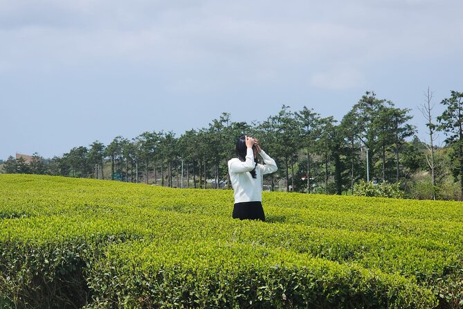 Jeju island Southern UNESCO Day Tour With Hallasan MT - Price and what you truly get for about $56.86