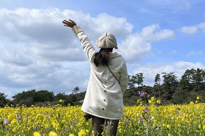 Jeju island Southern Unesco Mt.halla ONE day Bus Tour - Why this one-day southern UNESCO route works
