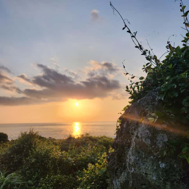 Jeju Island: Sunrise Guided Tour with Hotel Pickup - The Licensed Guide Factor: What You Gain With English or Chinese