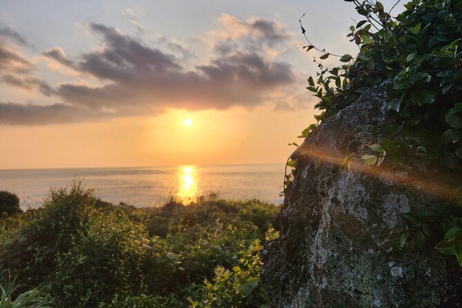Jeju island Sunrise Tour Early Morning with Hotel Pickup - The 3-hour morning flow: what the schedule actually feels like