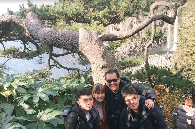 Jeju Island Taxi Tour : South Day Tour - Key points that make this South Jeju tour work