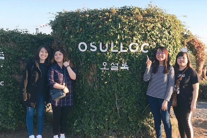 Jeju Island Taxi Tour : South Day Tour - Mysterious Road and the optional Tea Museum or Glass Castle choices