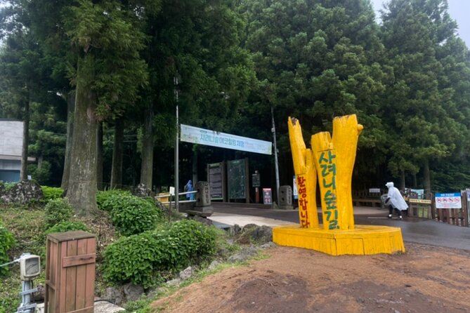 Jeju Island UNESCO Heritage Bus Tour - Day 2 Western Jeju: Mt. Halla trail viewpoints, Jusangjeolli cliffs, Camellia Hill