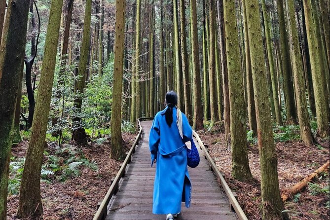 Jeju Island UNESCO Heritage Bus Tour - Seasonal timing: when April blooms and winter oranges can shape your day