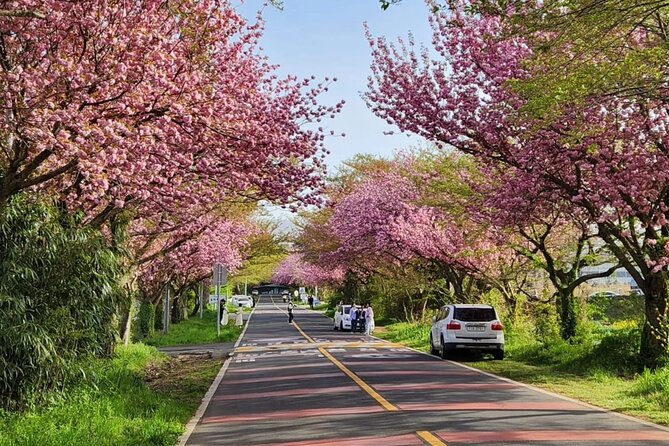 Jeju Island UNESCO small group Join tour(Taxi, van & bus) - Who Should Book, and Who Might Prefer Something Else