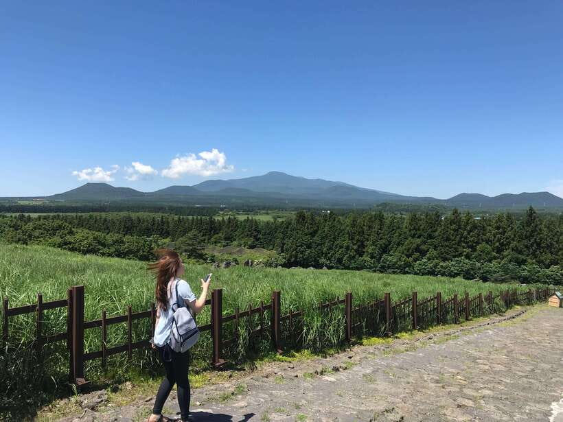 Jeju Island: Van Tour with a Guide Who Most Loves Jeju - Key moments that make this Jeju van day worth your time