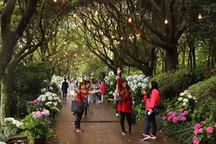 Jeju Island: Van Tour with a Guide Who Most Loves Jeju - Woljeongri break time, free time, and local shopping