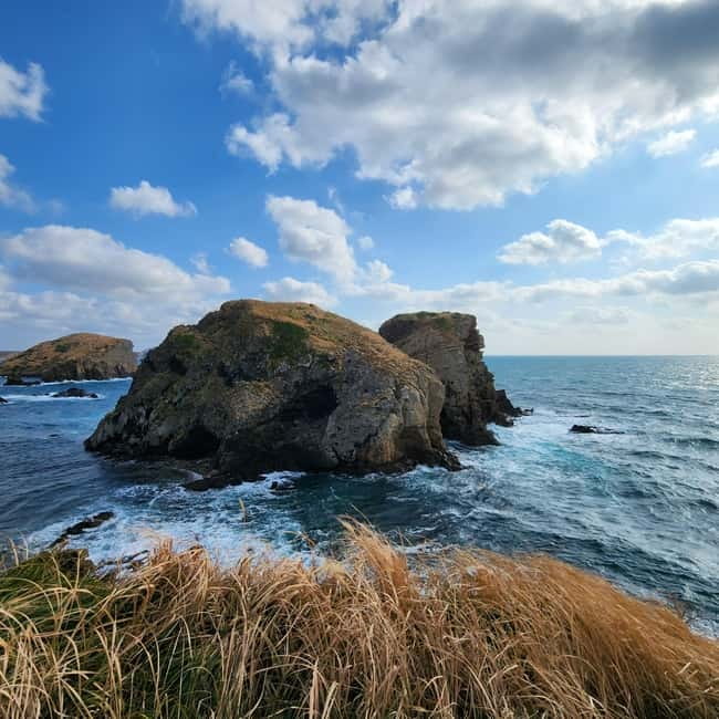 Jeju: Popular Sightseeing Private Car Charter Tour - South hiking-style day: Mt. Halla area, camellias, columnar cliffs, and waterfalls