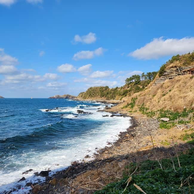 Jeju: Popular Sightseeing Private Car Charter Tour - How pickup and drop-off timing fits a full Jeju sightseeing day