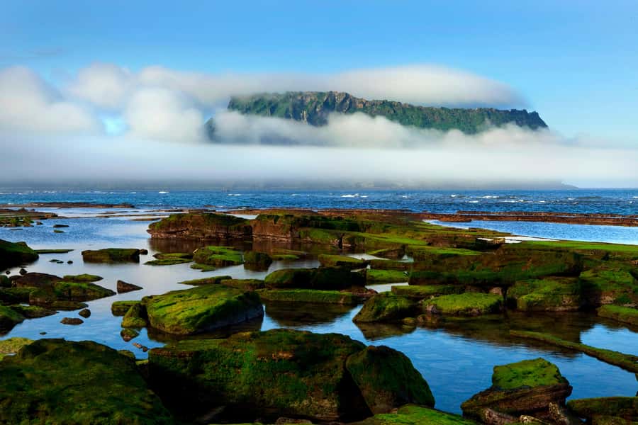 Jeju Premium Small Group UNESCO Day Tour - East - Key Things That Make This East Jeju Tour Worth It