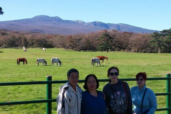 Jeju Private Full day tour of UNESCO Day Tour - Jeju Stone Park and the Manjang Cave Replacement You Should Not Miss