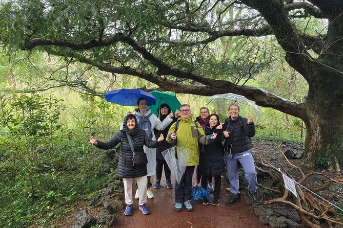 Jeju Private Half-Day Tour for Cruise Customers - Seongeup Folk Village: A 20-Minute Time Capsule