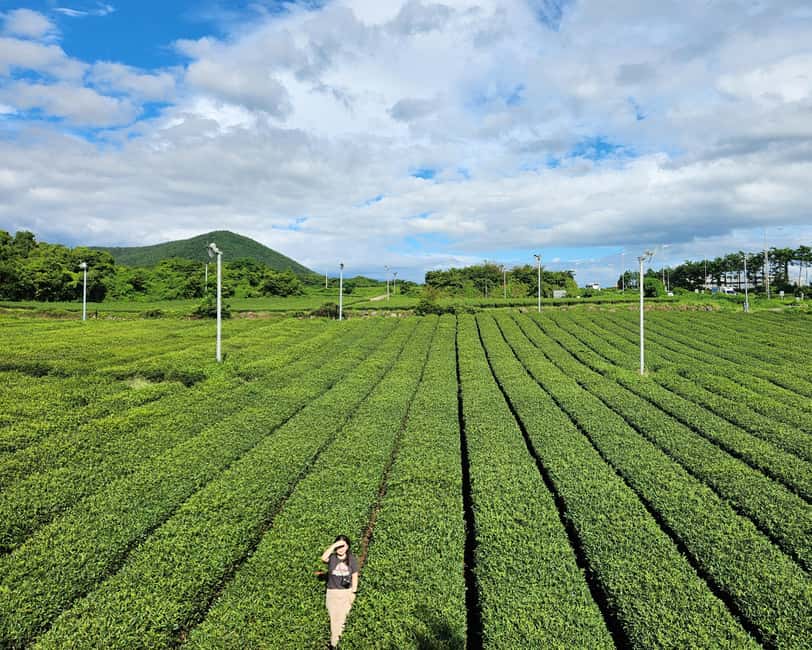 Jeju Private Taxi Tour with a Licenced English Guide-Driver - Key points to know before you go