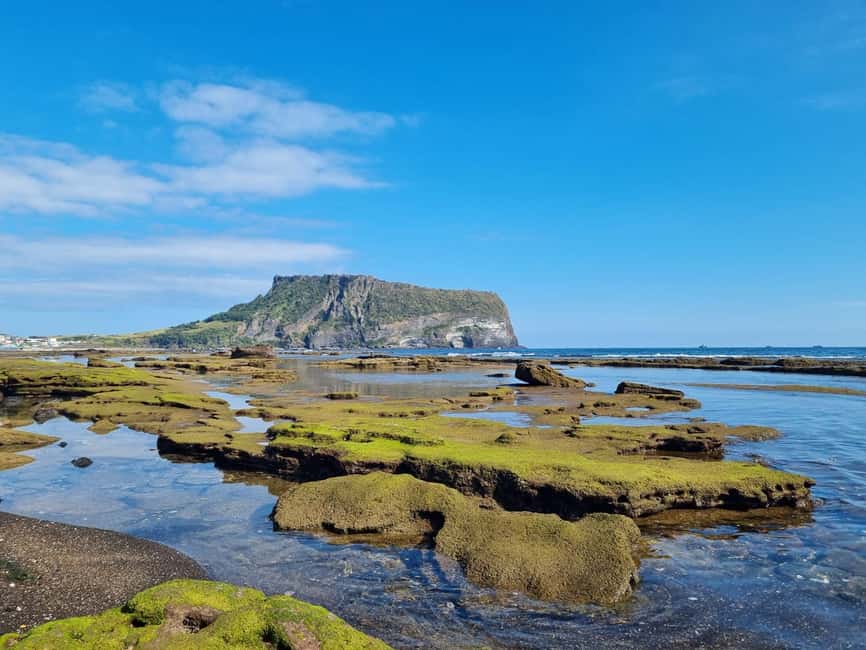 Jeju Private Taxi Tour with a Licenced English Guide-Driver - North and east highlights: sunrise views, Haenyeo culture, and lava caves
