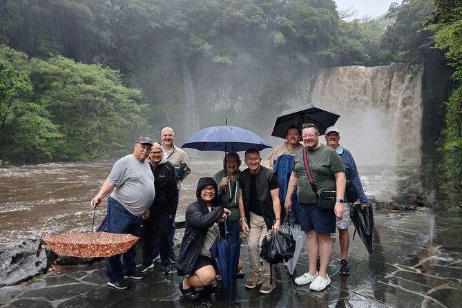 Jeju Private Taxi Tour with a Licensed English Guide-Driver - Why this private Jeju taxi tour beats DIY hopping