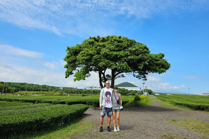 Jeju Private Tour Package-South of Jeju(Mt.Hallasan & Waterfalls) - Stop 5: Jeongbang Falls, Korea’s Sea-Direct Waterfall