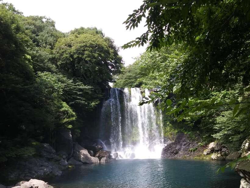 Jeju: Private Tour with an English Guide and a Vehicle - Bijarim forest and Manjang cave: pick your nature pace