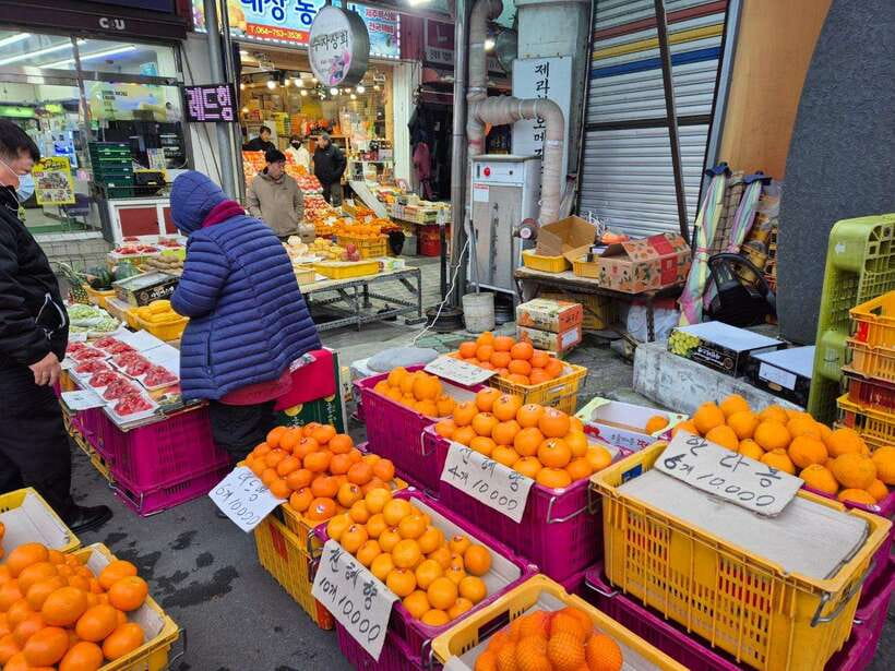 Jeju: Private Tour with an English Guide and a Vehicle - West Jeju highlights: Hallasan, Oedolgae, and Seogwipo Olle Market