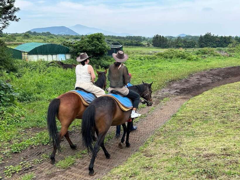 Jeju: Private Tour with an English Guide and a Vehicle - When schedules feel tight, your guide makes the difference