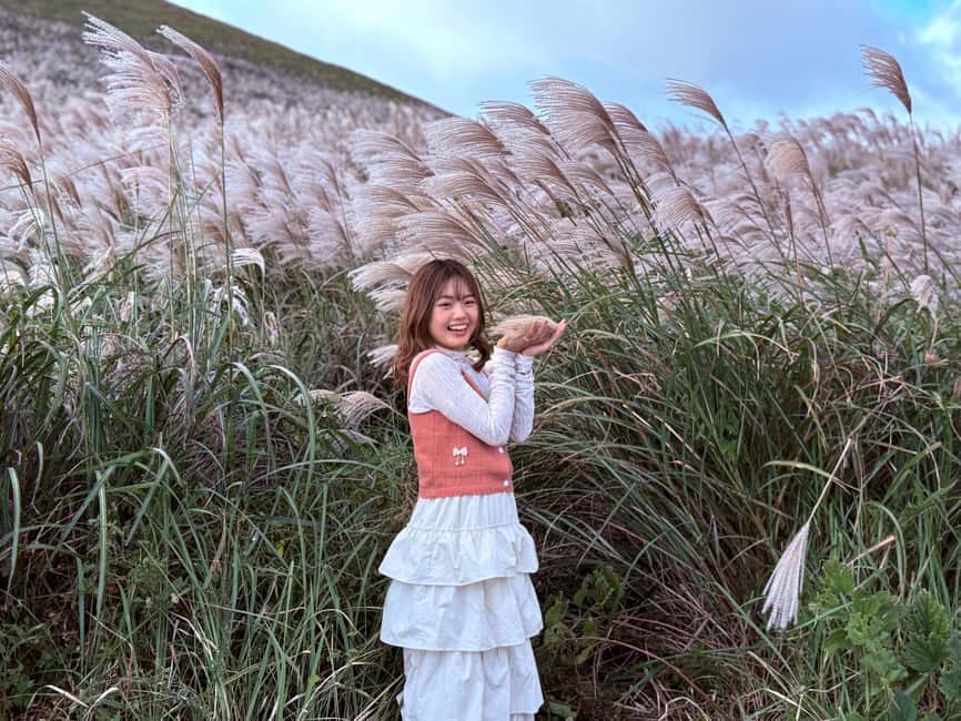 Jeju: Small Group Tour w/Pink Muhly & Tangerine Picking - Highlights that make this Jeju day feel worth it