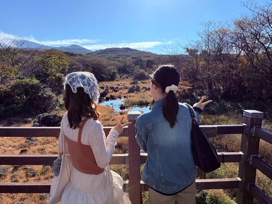Jeju: Small Group Tour w/Pink Muhly & Tangerine Picking - Seogwipo-si lunch break: where you slow down and recharge