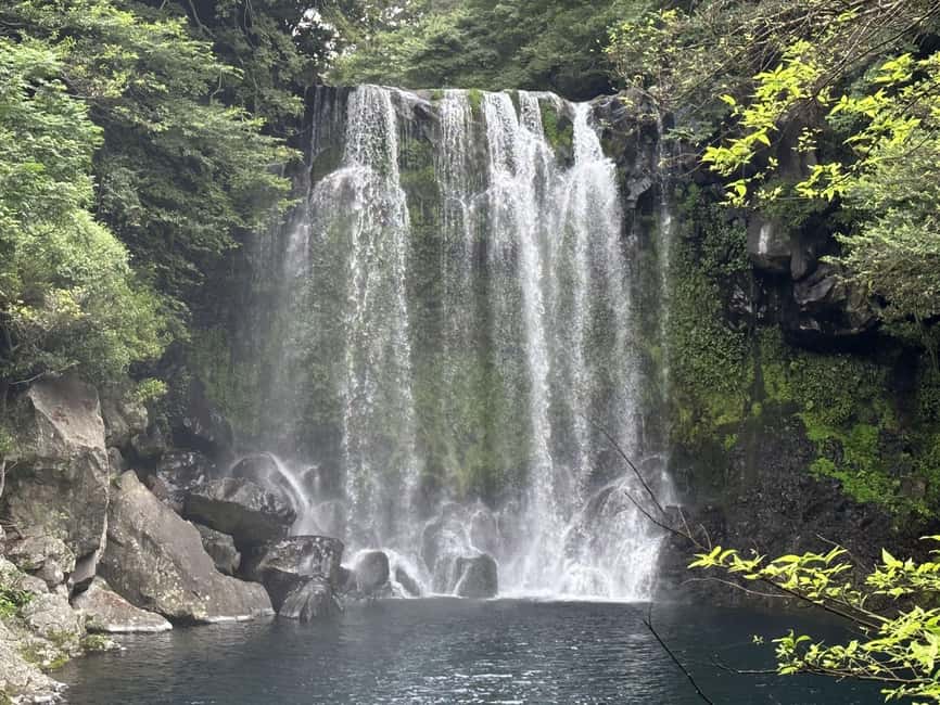 Jeju: Small Group Tour w/Pink Muhly & Tangerine Picking - Cheonjeyeon Falls and the Seonimgyo Bridge legend