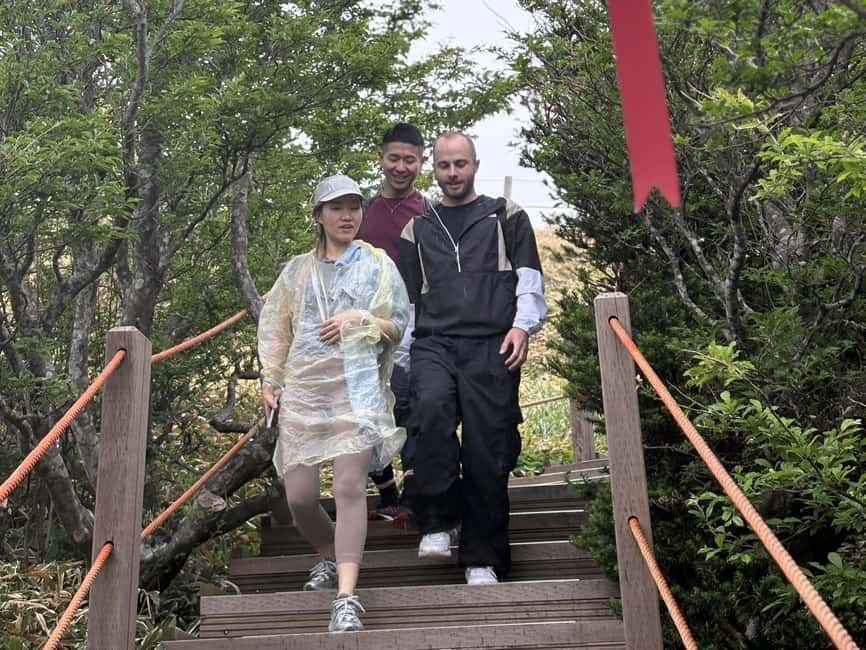Jeju South: Small Group Healing Tour w/Mt.Halla & Olle Trail - Lunch Is Yours, But the Guide Tries to Make It Easy
