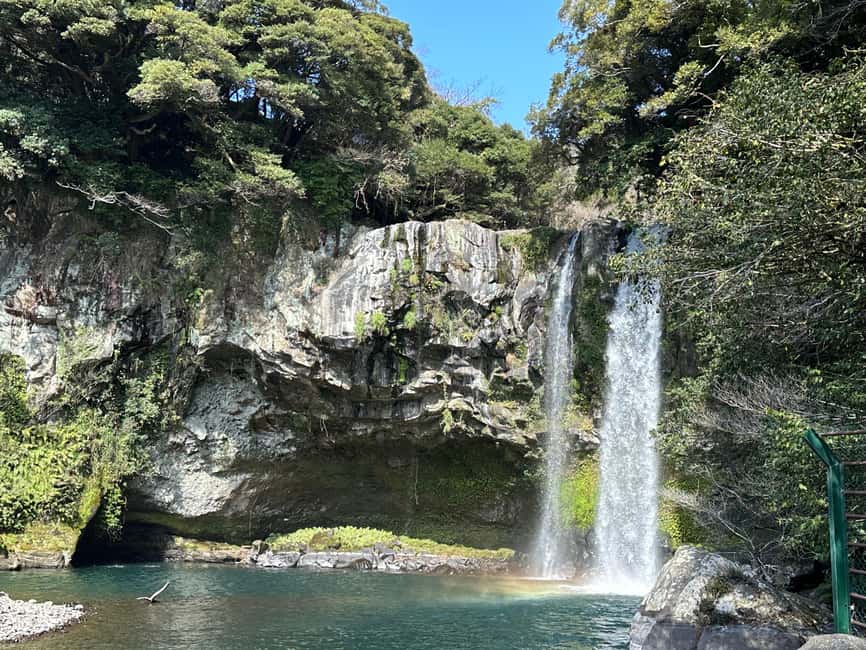 Jeju South: Small Group Healing Tour w/Mt.Halla & Olle Trail - Getting Started at 제주시의회 and Hotel Pickup in Jeju City