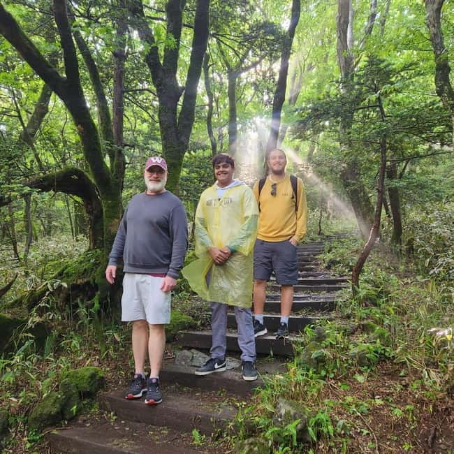 Jeju: Southern Top UNESCO Spots Bus Tour - Your Morning Pickup Plan: Airport, Hotels, and the 10-Minute Rule