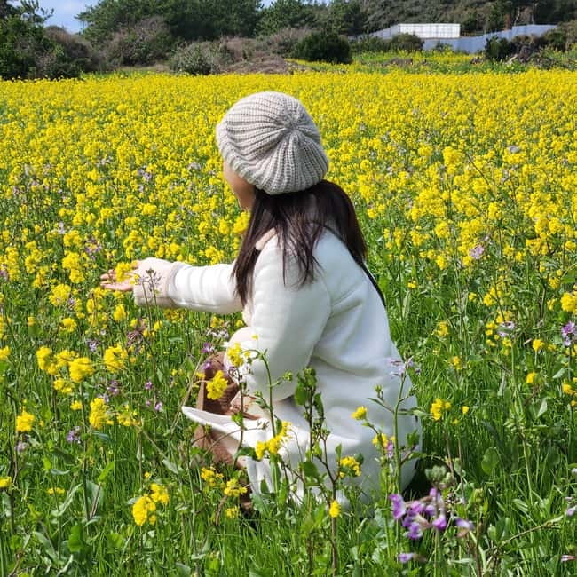 Jeju: Southern Top UNESCO Spots Bus Tour - Cheonjeyeon Falls and Seonimgyo Bridge: Three Tiers and Myth Energy