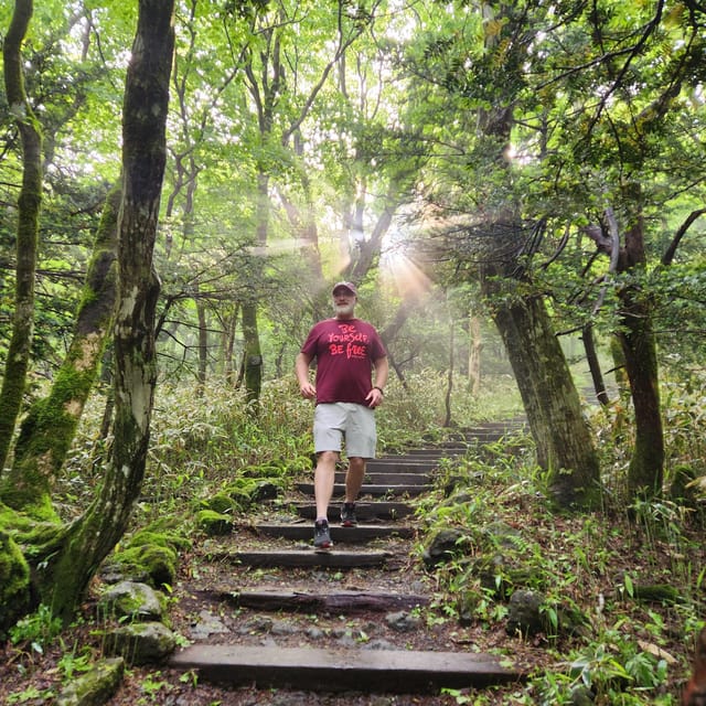 Jeju: Southern UNESCO Geopark Day Tour - Camellia Hill: a botanical stop that changes with the season
