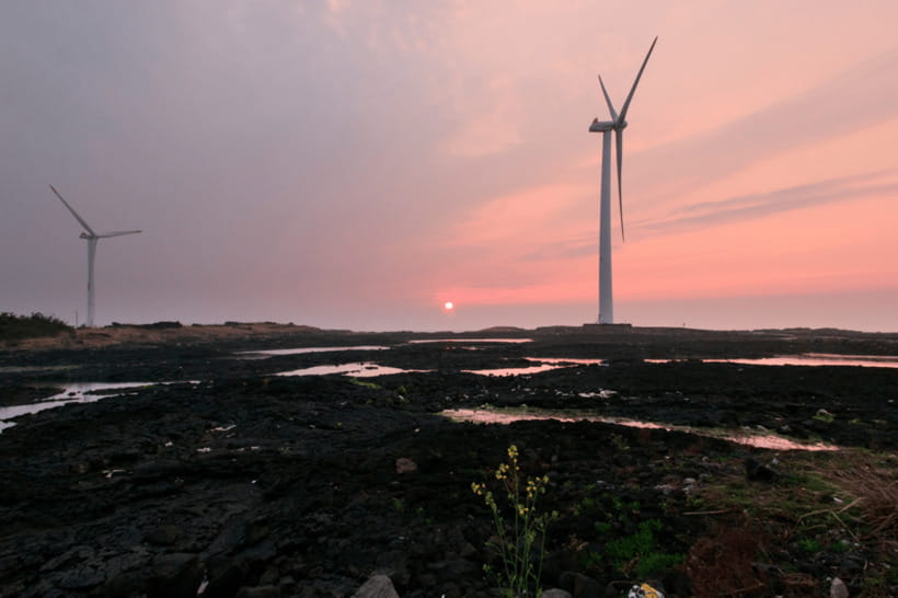 Jeju: Sunset Tour Olle Trail Walking Tour with Hotel Pickup - Your guide matters more than you think