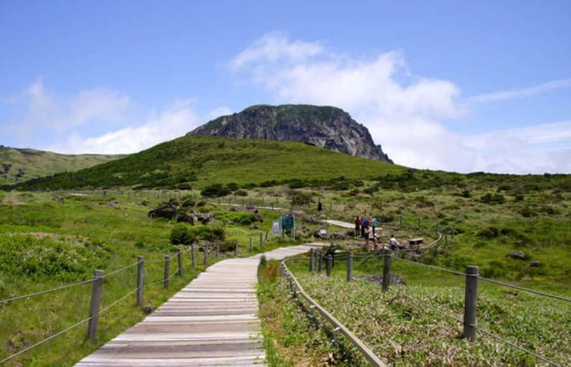 Jeju: UNESCO Day Tour for Cruise Guests - Mt. Halla National Park: Hallasan 1100 Wetland or Eorimok