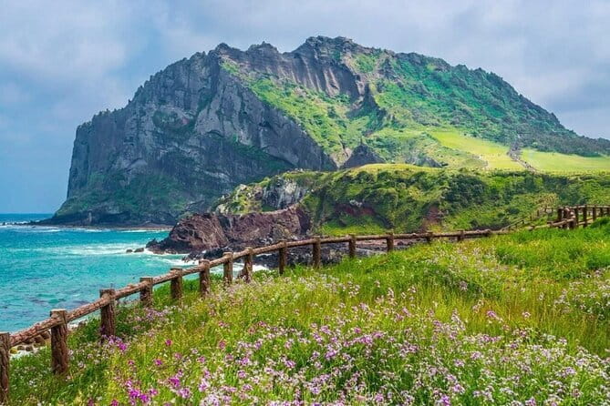 Jeju Unesco Eest course Package Private Van Guided Tour - Seongsan Ilchulbong Peak: The 180m Crater Story You Can See