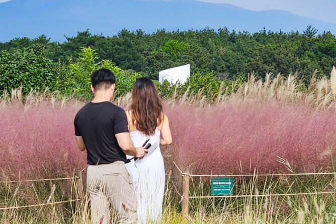 Jeju: UNESCO-Listed Southern Authentic Day Tour - Key points before you go
