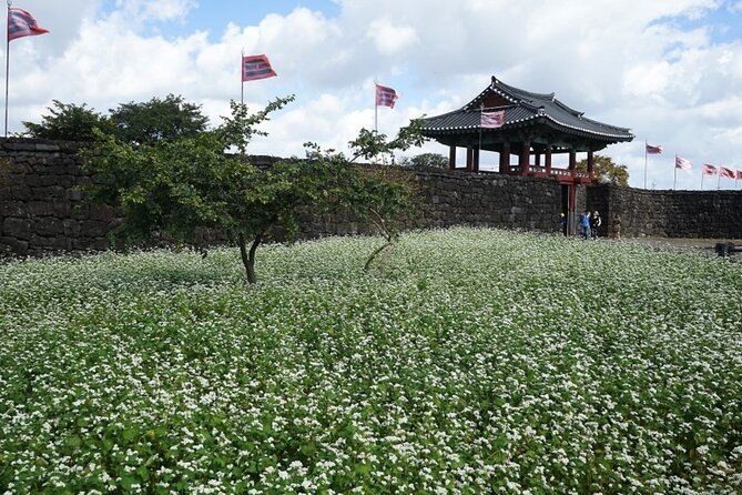 Jeju: UNESCO-Listed Southern Authentic Day Tour - O’sulloc Tea Museum: the calm break between big sights