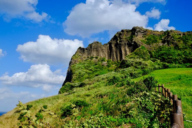 Jeju: UNESCO-Listed Southern Authentic Day Tour - Hueree Natural Life Park: easy walking and a quieter finish