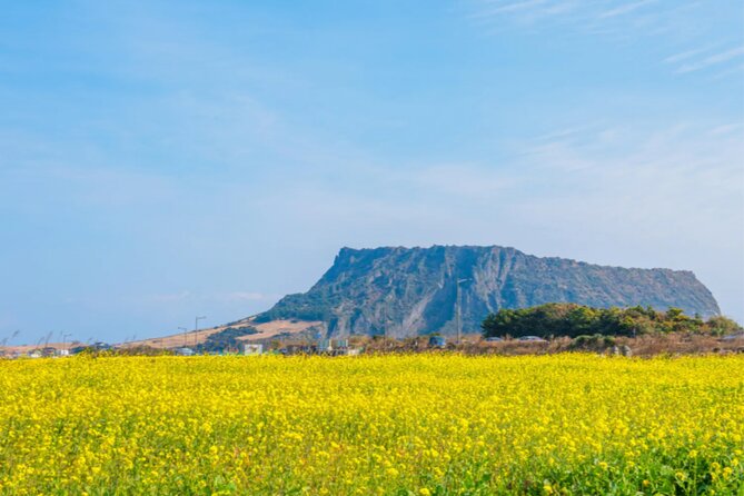 Jeju: UNESCO-Listed Southern Authentic Day Tour - Optional stop at Dongmun Traditional Market for street food