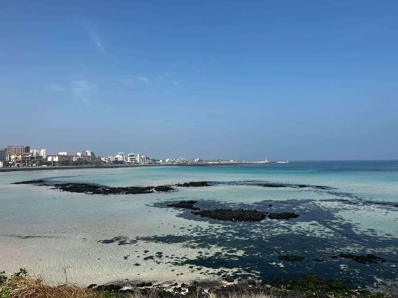 Jeju UNESCO Natural Heritage Private Tour by Certified Guide - UNESCO Jeju, in One Thoughtful 8-Hour Loop