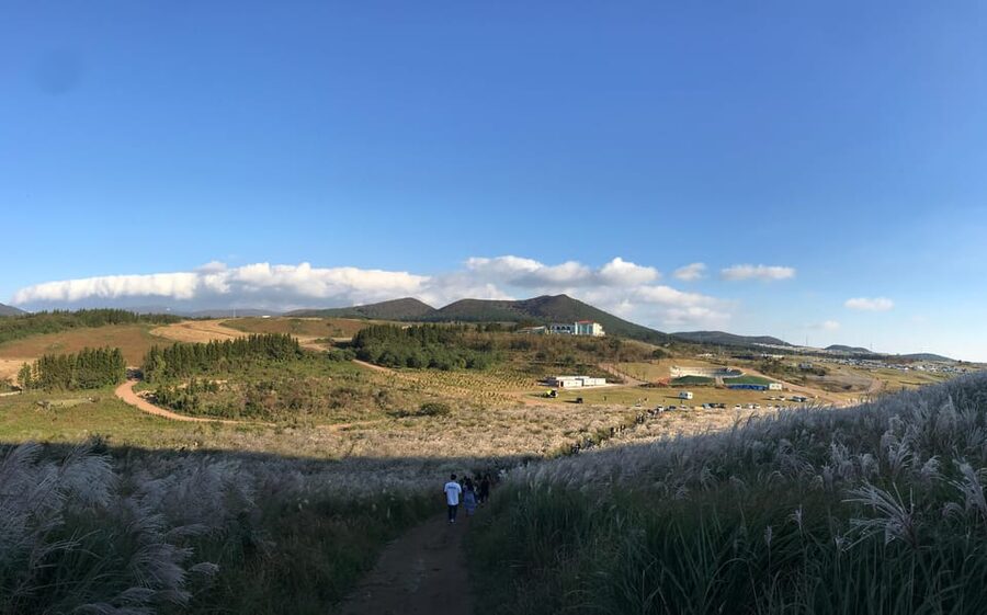 Jeju: West of Jeju Island Bus Tour from Seogwipo City - Hyeopjae and Geumneung beaches: sea color time with free wandering