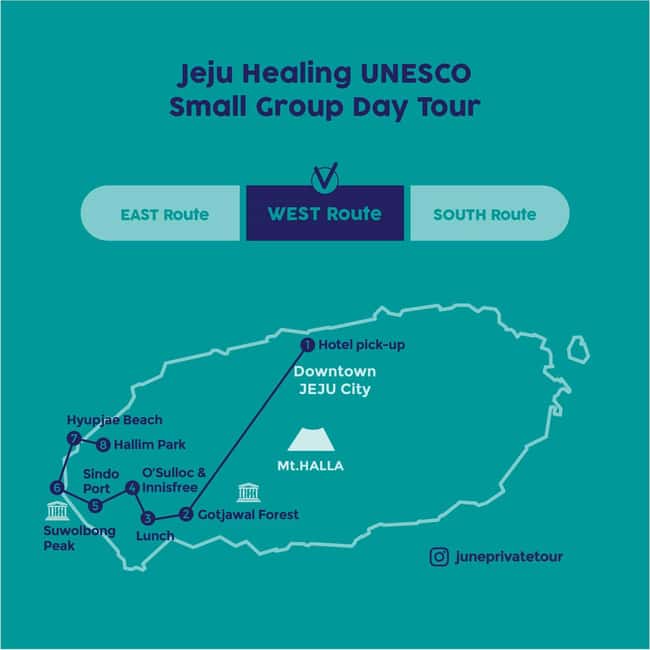 Jeju West: Small Group Healing Tour w/Caves & Dolphins - Getting there smoothly, and why the pacing feels different
