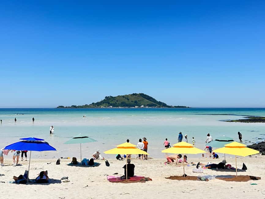 Jeju West: Small Group Healing Tour w/Caves & Dolphins - Lunch in Jeju, at local pace, not tourist pace