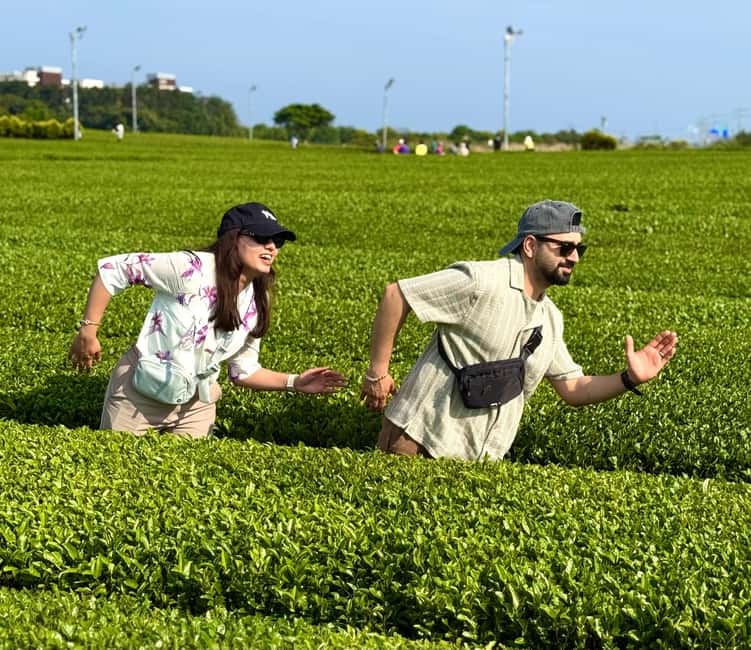 Jeju West: Small Group Healing Tour w/Caves & Dolphins - O’Sulloc Green Tea Museum and Innisfree Jeju House: tea, products, and a change of mood