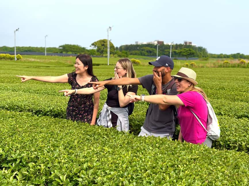 Jeju West: Small Group Healing Tour w/Caves & Dolphins - Conch Park dolphin watching: go for the moment, not the guarantee