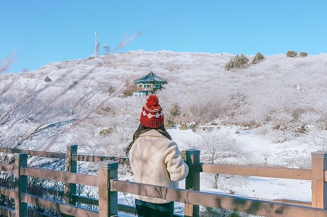 Jeju WEST&SOUTH One Day Tour with MT.halla & UNESCO - Why This West and South Jeju Tour Works When You Hate Planning