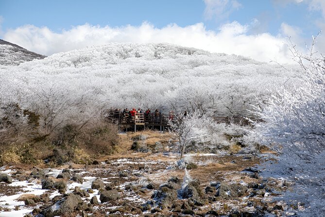 Jeju WEST&SOUTH One Day Tour with MT.halla & UNESCO - Hueree Natural Life Park for Seasonal Gardens and Quick Photo Runs