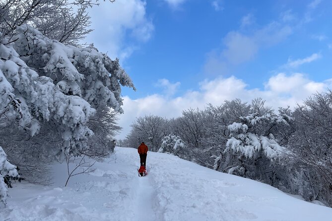 Jeju WEST&SOUTH One Day Tour with MT.halla & UNESCO - Tangerine Picking at Hueree: Short, Optional, and Pay-On-Site