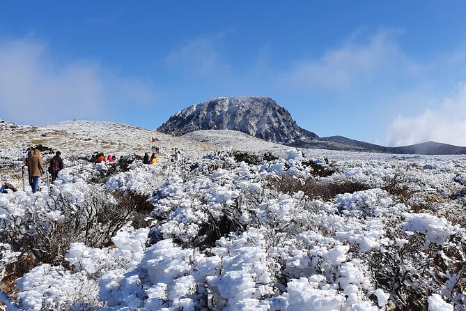 Jeju WEST&SOUTH One Day Tour with MT.halla & UNESCO - Hallasan National Park Trek, 1100 Altitude Wetland, and Snow Contingencies